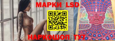 ГАЛЛЮЦИНОГЕННЫЕ ГРИБЫ Нальчик