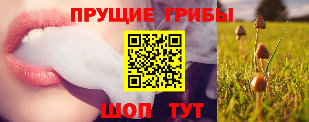 Галлюциногенные грибы ЛСД  Вход с VPN  Родники 