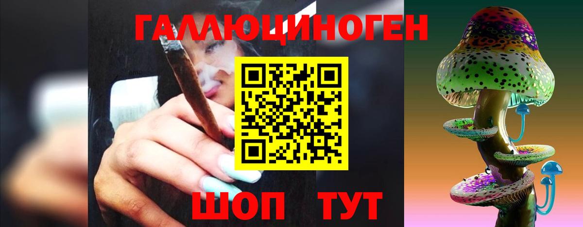 Псилоцибиновые грибы прущие грибы Родники